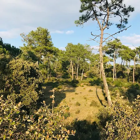Panoramique Ocean, Sables D'or Saint-Jean-de-Monts